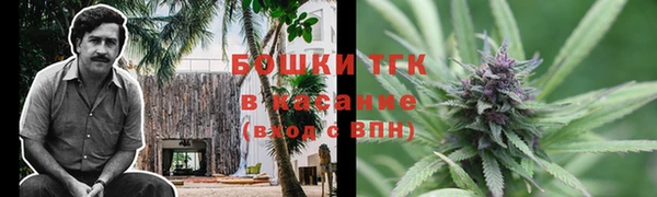 гашик Аркадак