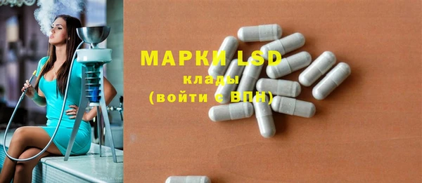 гашик Аркадак