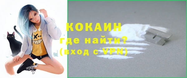 гашик Аркадак