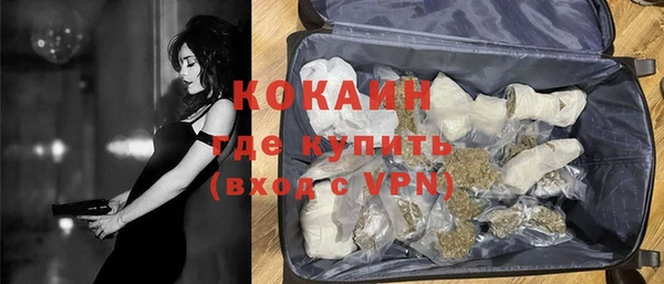 гашик Аркадак