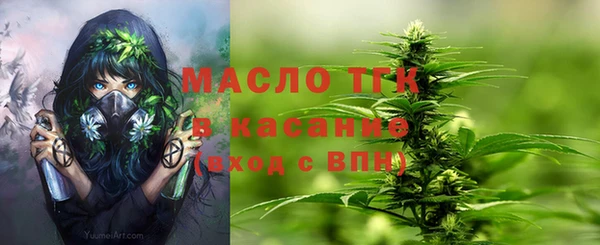 гашик Аркадак